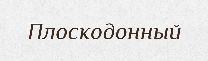 Плоскодонный — Російсько-український академічний словник (А–П)