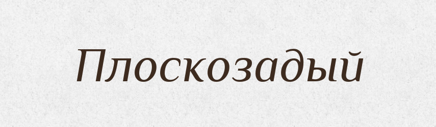 Плоскозадый — Російсько-український академічний словник (А–П)