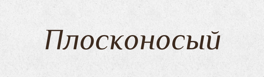 Плосконосый — Російсько-український академічний словник (А–П)
