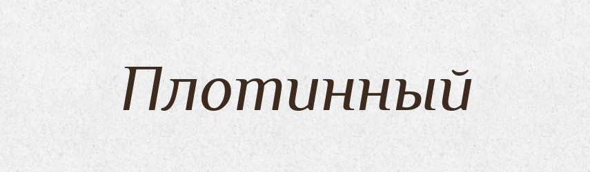 Плотинный — Російсько-український академічний словник (А–П)