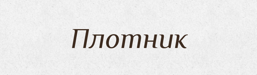 Плотник — Російсько-український академічний словник (А–П)