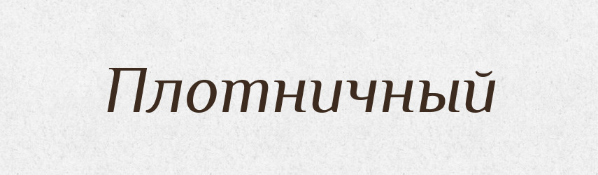 Плотничный — Російсько-український академічний словник (А–П)