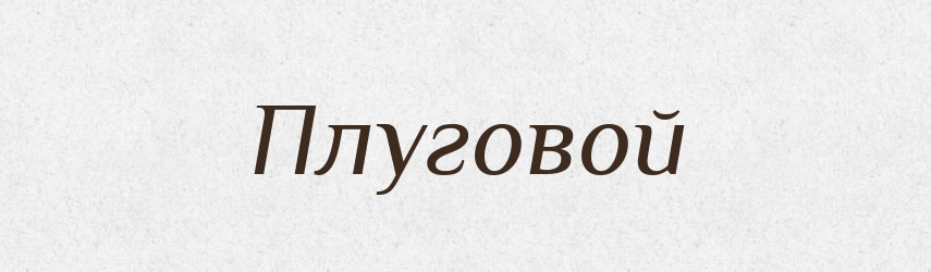 Плуговой — Російсько-український академічний словник (А–П)