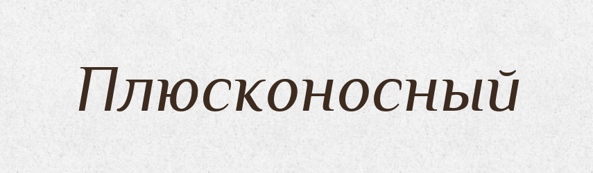 Плюсконосный — Російсько-український академічний словник (А–П)