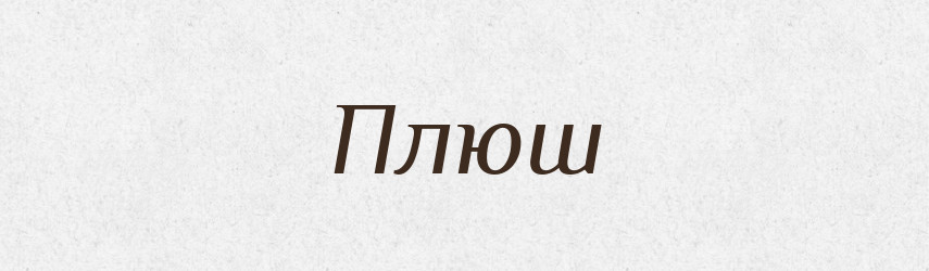 Плюш — Російсько-український академічний словник (А–П)