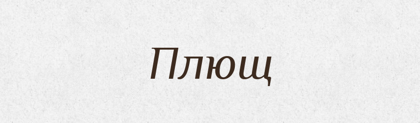 Плющ — Російсько-український академічний словник (А–П)