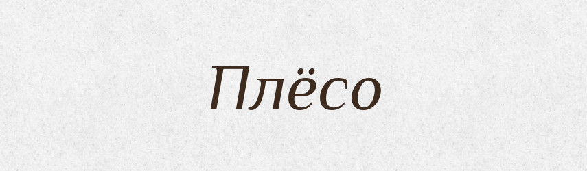 Плёсо — Російсько-український академічний словник (А–П)