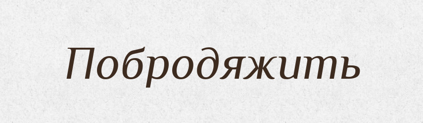 Побродяжить — Російсько-український академічний словник (А–П)