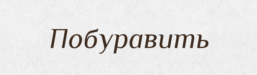 Побуравить — Російсько-український академічний словник (А–П)