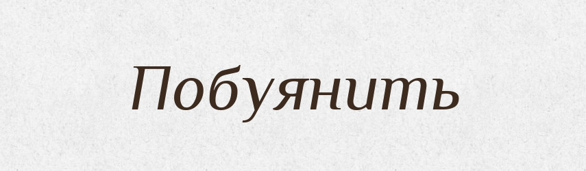 Побуянить — Російсько-український академічний словник (А–П)