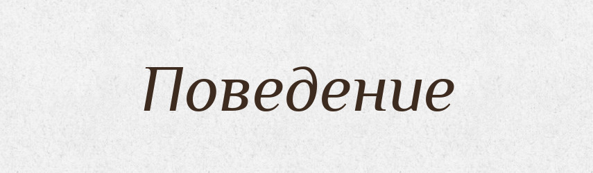 Поведение — Російсько-український академічний словник (А–П)