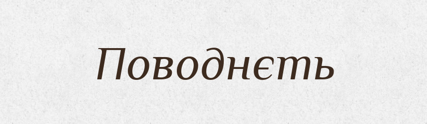 Поводнєть — Російсько-український академічний словник (А–П)