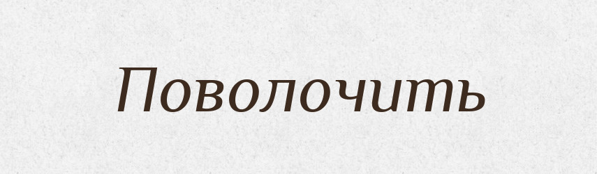Поволочить — Російсько-український академічний словник (А–П)