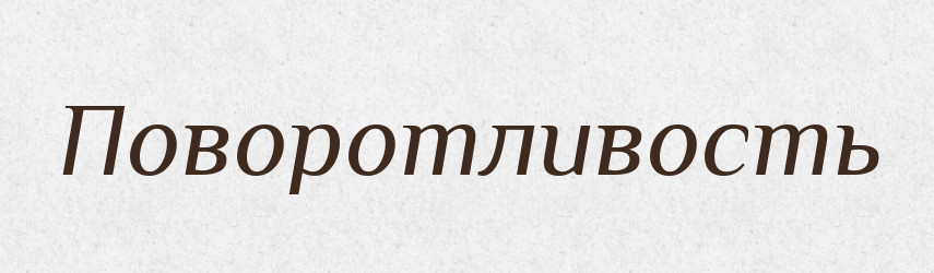 Поворотливость — Російсько-український академічний словник (А–П)