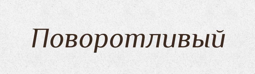 Поворотливый — Російсько-український академічний словник (А–П)