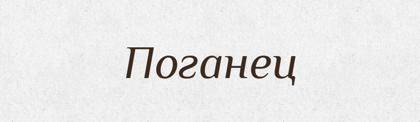 Поганец — Російсько-український академічний словник (А–П)