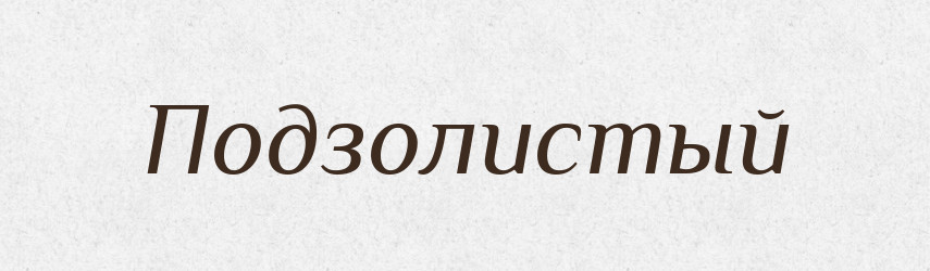 Подзолистый — Російсько-український академічний словник (А–П)