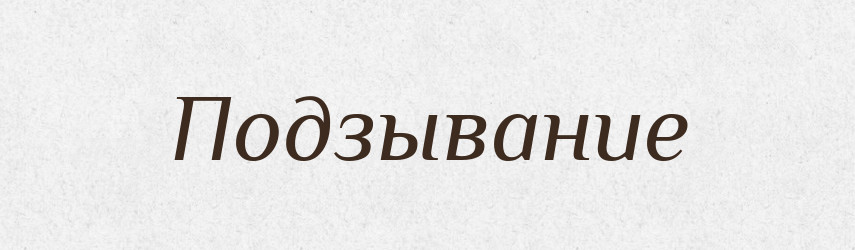 Подзывание — Російсько-український академічний словник (А–П)