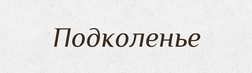Подколенье — Російсько-український академічний словник (А–П)