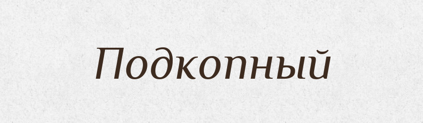 Подкопный — Російсько-український академічний словник (А–П)