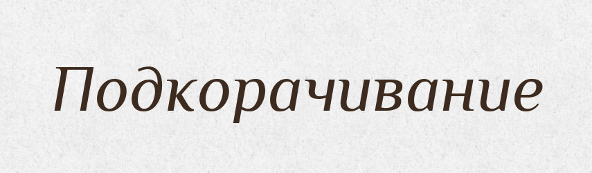Подкорачивание — Російсько-український академічний словник (А–П)