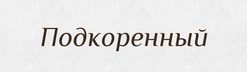 Подкоренный — Російсько-український академічний словник (А–П)