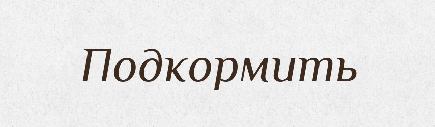 Подкормить — Російсько-український академічний словник (А–П)
