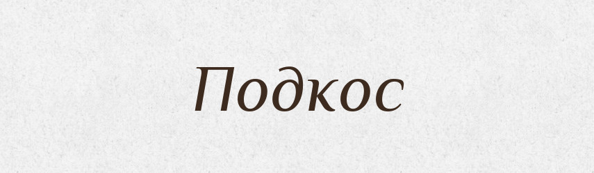 Подкос — Російсько-український академічний словник (А–П)
