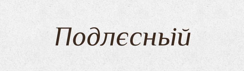 Подлєсньій — Російсько-український академічний словник (А–П)