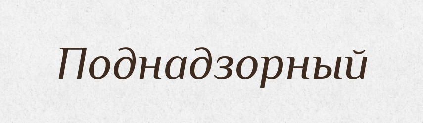 Поднадзорный — Російсько-український академічний словник (А–П)