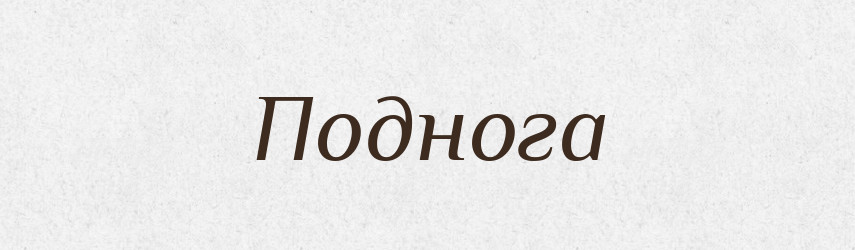 Поднога — Російсько-український академічний словник (А–П)
