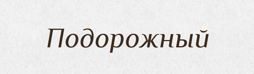 Подорожный — Російсько-український академічний словник (А–П)