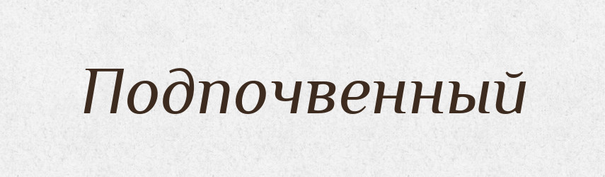 Подпочвенный — Російсько-український академічний словник (А–П)