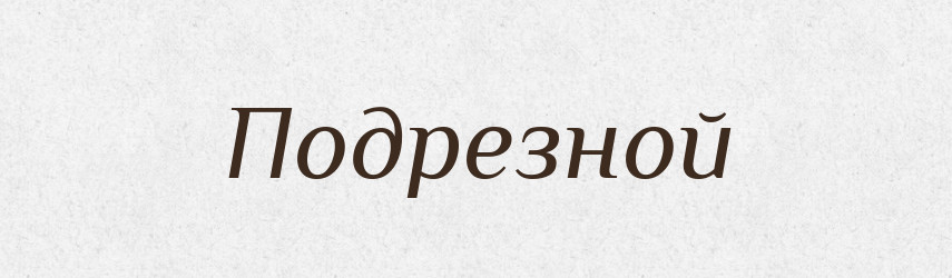 Подрезной — Російсько-український академічний словник (А–П)