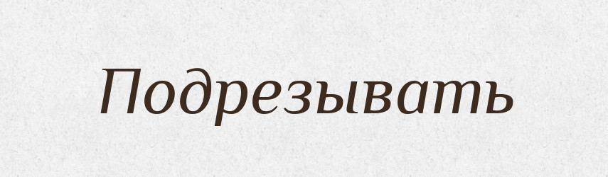 Подрезывать — Російсько-український академічний словник (А–П)