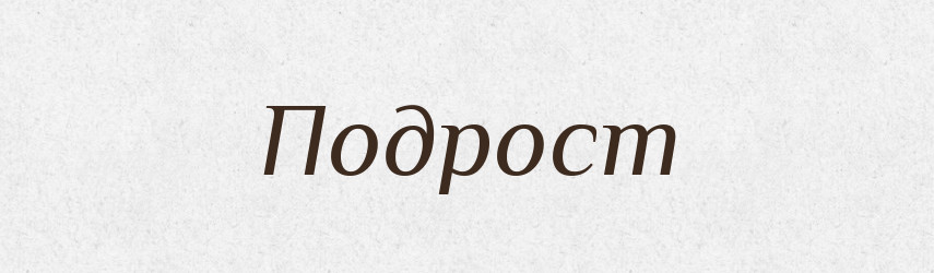 Подрост — Російсько-український академічний словник (А–П)