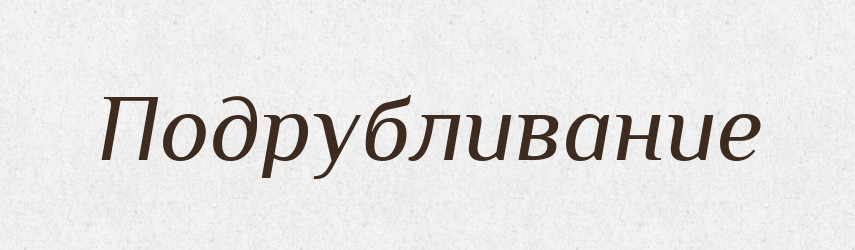 Подрубливание — Російсько-український академічний словник (А–П)