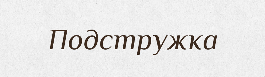 Подстружка — Російсько-український академічний словник (А–П)