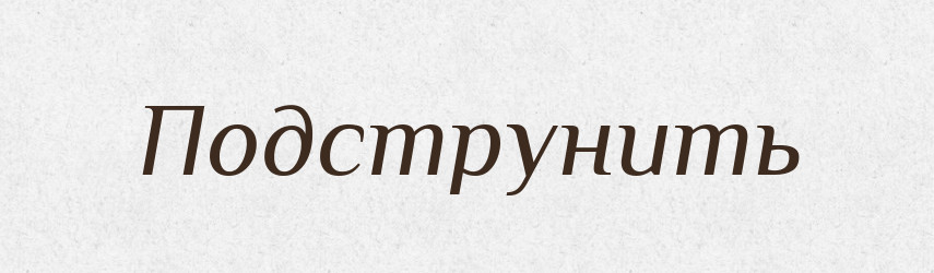 Подструнить — Російсько-український академічний словник (А–П)