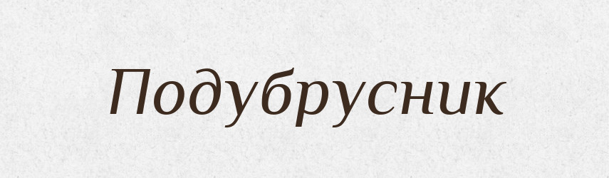 Подубрусник — Російсько-український академічний словник (А–П)