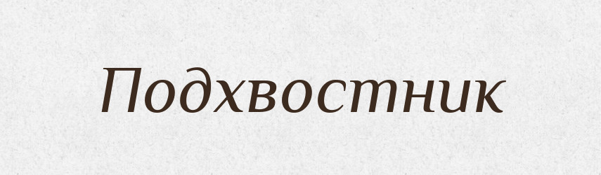 Подхвостник — Російсько-український академічний словник (А–П)