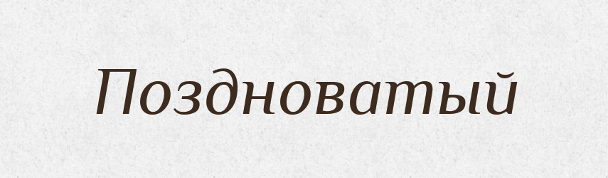 Поздноватый — Російсько-український академічний словник (А–П)