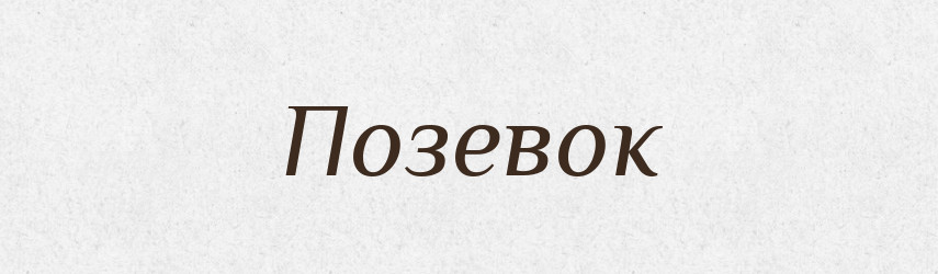 Позевок — Російсько-український академічний словник (А–П)