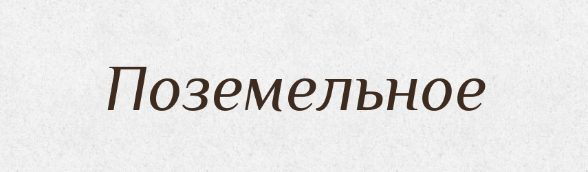 Поземельное — Російсько-український академічний словник (А–П)