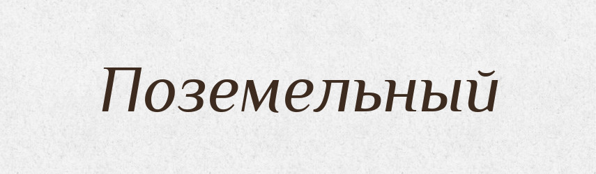Поземельный — Російсько-український академічний словник (А–П)