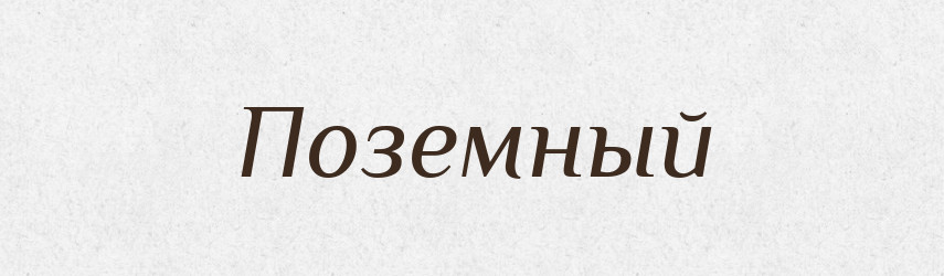 Поземный — Російсько-український академічний словник (А–П)