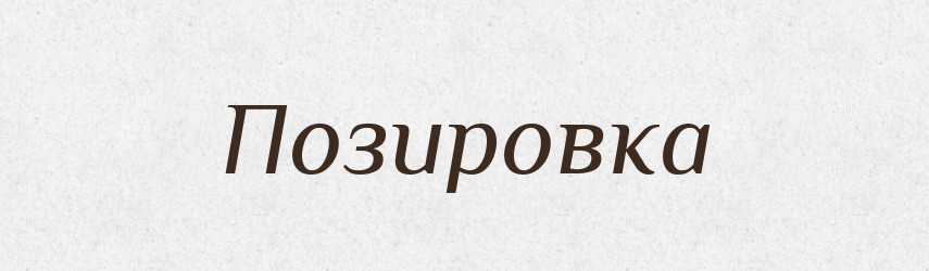 Позировка — Російсько-український академічний словник (А–П)