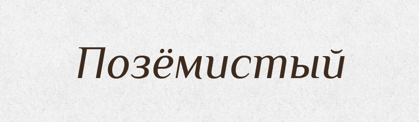 Позёмистый — Російсько-український академічний словник (А–П)