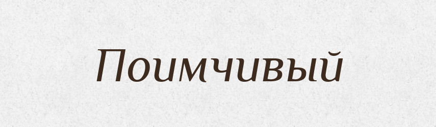 Поимчивый — Російсько-український академічний словник (А–П)