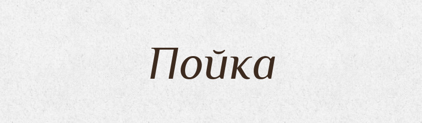 Пойка — Російсько-український академічний словник (А–П)